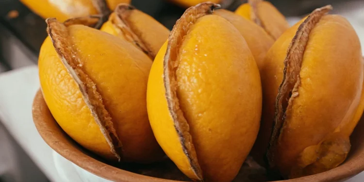 Best food of Bolivia