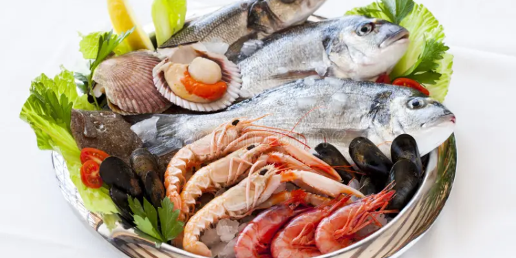 Best Food of French Southern Territories