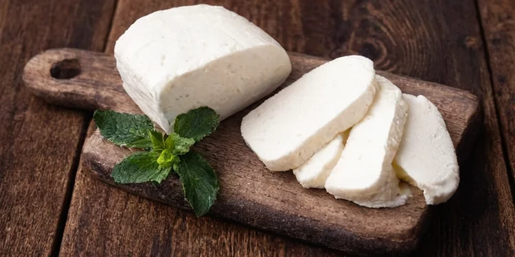 Halloumi Best Food of Cyprus