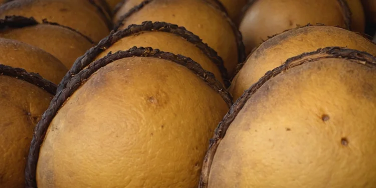Saltenas Best Food of Bolivia