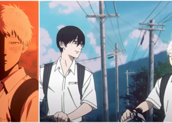 What Is The Summer Hikaru Died About