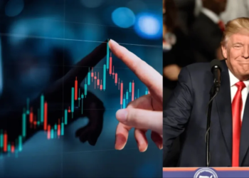 Where to Invest After Trump's Tariff Policy