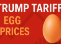 Egg Prices In US