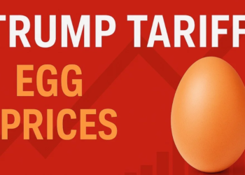 Egg Prices In US