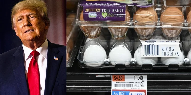 Egg Prices In US