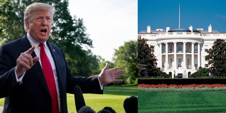 Trump's Tariffs