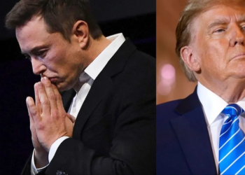 What is Elon Musk's Next Step